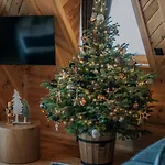 Апартаменты Tatra Loft *