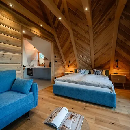 公寓 Tatra Loft 扎布