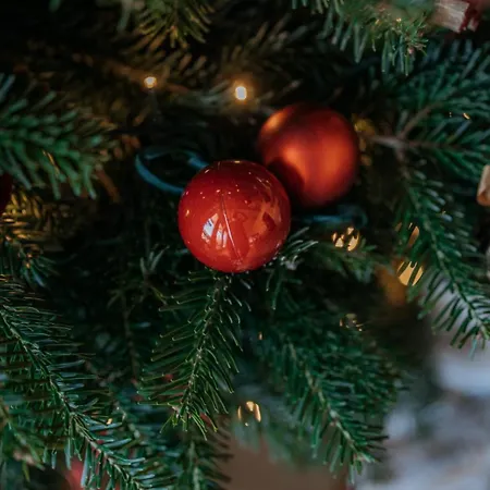 Tatra Loft Appartement Zab