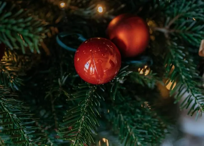 Tatra Loft Lejlighed Zab